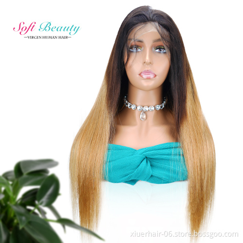 Wholesale 13*4 Lace Front Human Hair Wigs Straight Wave Ombre T1b/27 Color Brazilian Remy Hair for Black Women